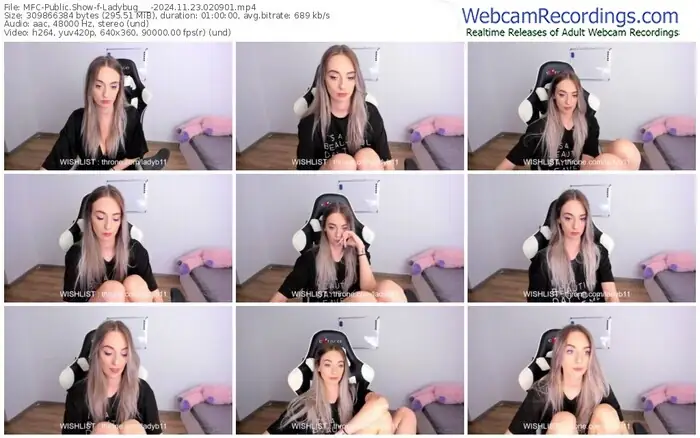2024/11/23/mfc-ladybug___-02-09-01