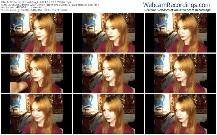 2024/11/23/mfc-sia_a-13-53-16