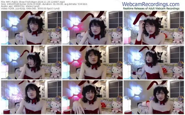 2024/11/23/mfc-silviajpn-12-44-07