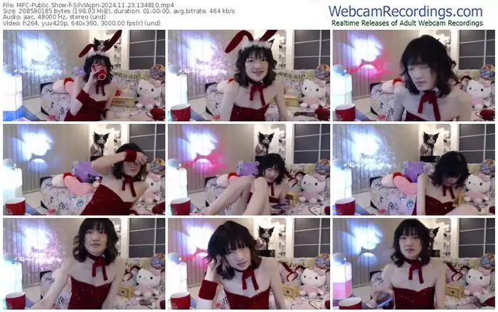 2024/11/23/mfc-silviajpn-13-48-10