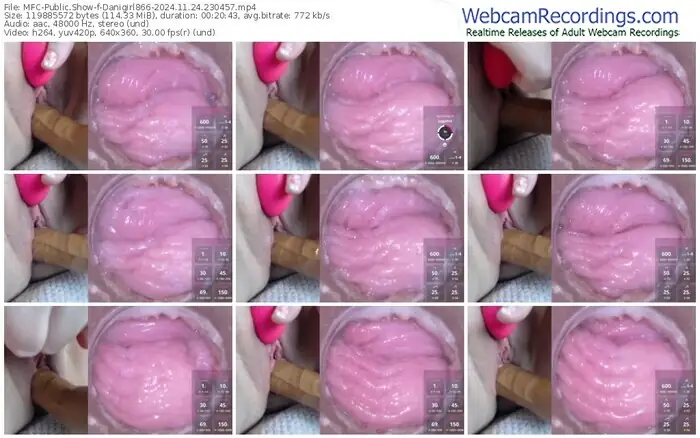 2024/11/24/mfc-danigirl866-23-04-57