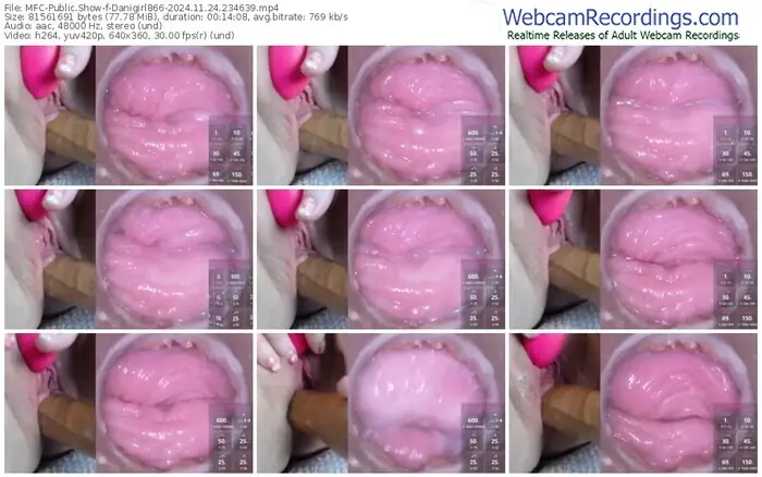 2024/11/24/mfc-danigirl866-23-46-39