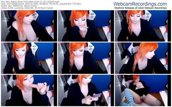 2024/11/25/mfc-alicenm-16-36-24