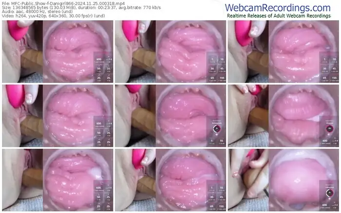 2024/11/25/mfc-danigirl866-00-03-18