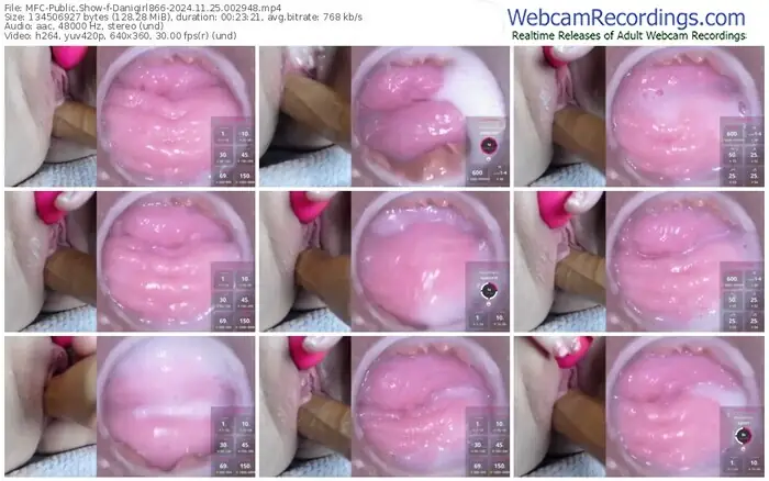 2024/11/25/mfc-danigirl866-00-29-48