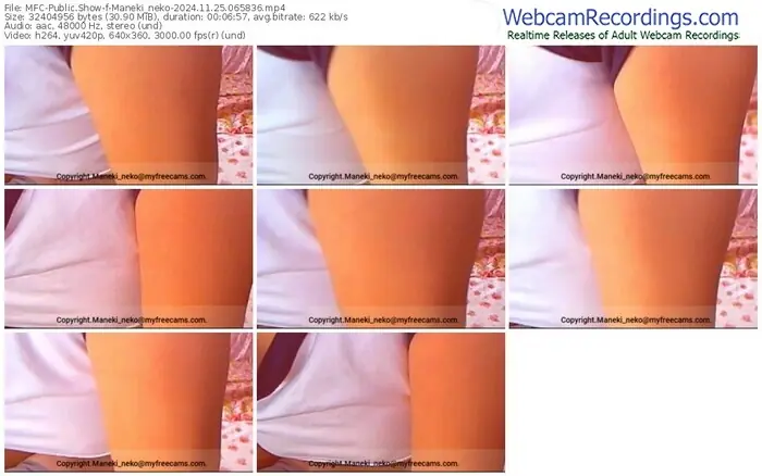 2024/11/25/mfc-maneki_neko-06-58-36