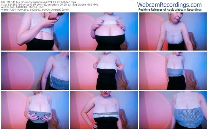 2024/11/25/mfc-meganfoxxi-16-10-46