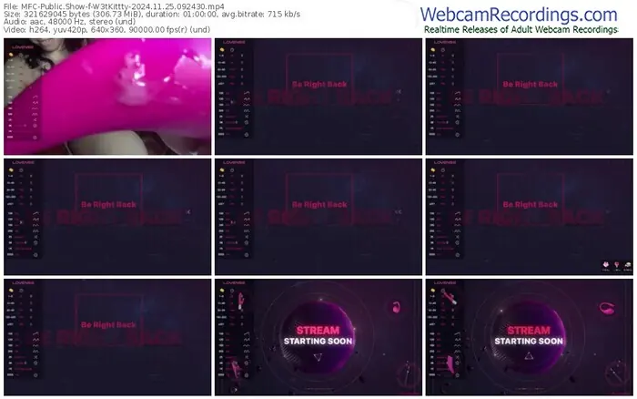 2024/11/25/mfc-w3tkittty-09-24-30