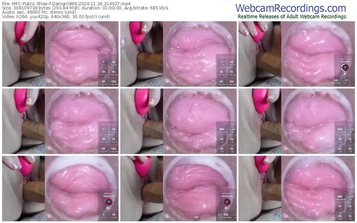 2024/11/26/mfc-danigirl866-21-40-27