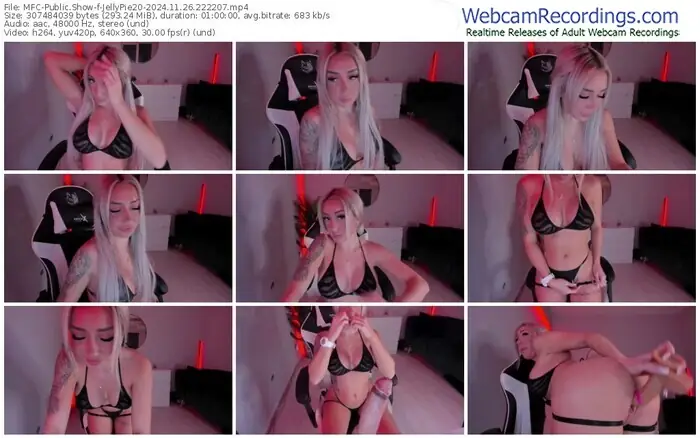 2024/11/26/mfc-jellypie20-22-22-07