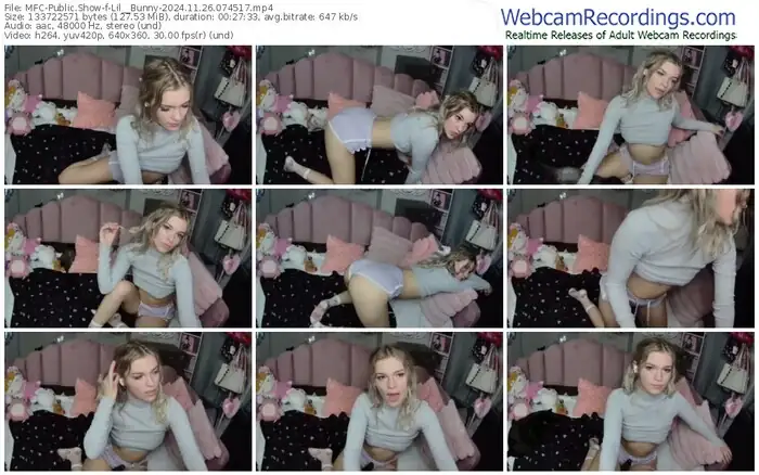 2024/11/26/mfc-lil__bunny-07-45-17