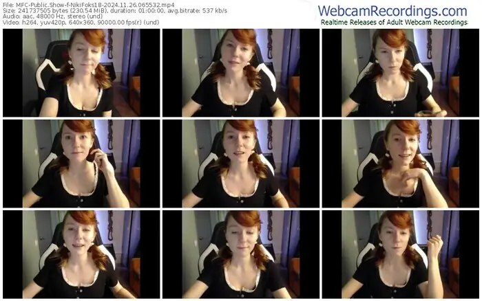 2024/11/26/mfc-nikifoks18-06-55-32