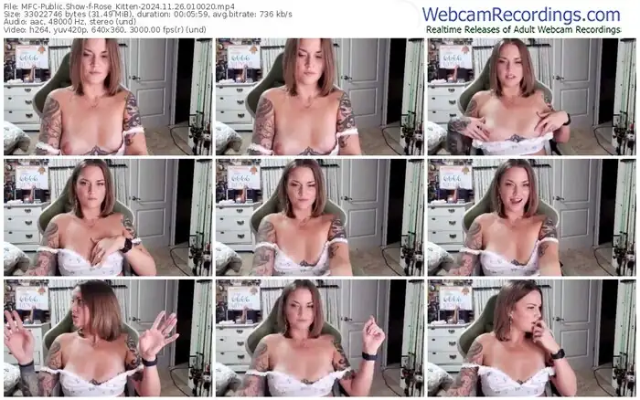 2024/11/26/mfc-rose_kitten-01-00-20