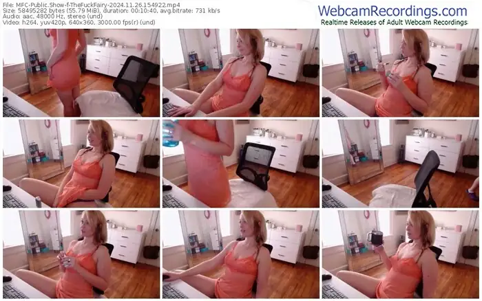 2024/11/26/mfc-thefuckfairy-15-49-22