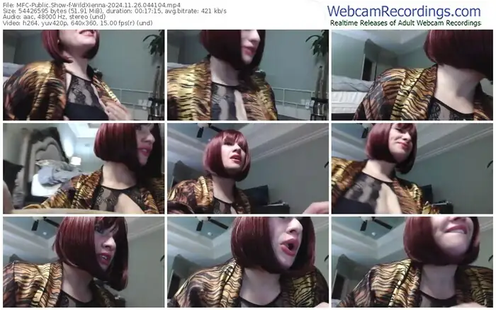 2024/11/26/mfc-wildxienna-04-41-04