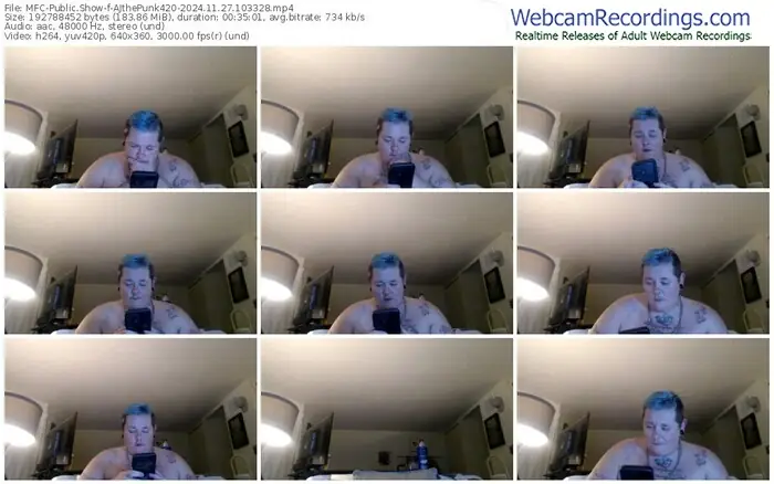 2024/11/27/mfc-ajthepunk420-10-33-28