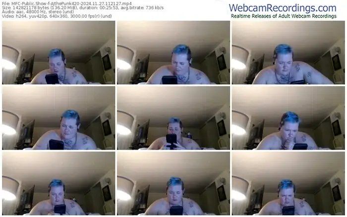 2024/11/27/mfc-ajthepunk420-11-21-27