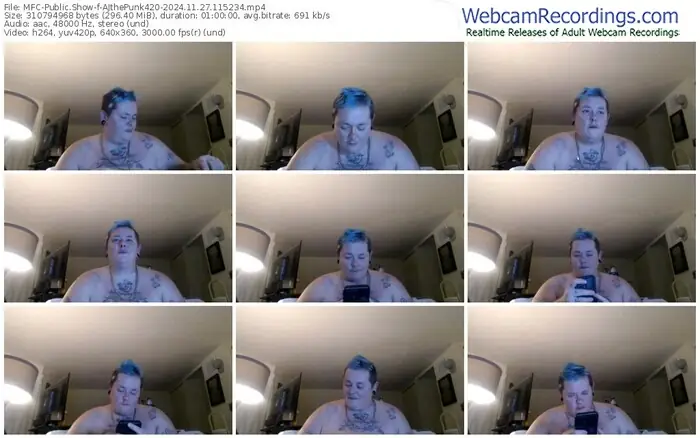 2024/11/27/mfc-ajthepunk420-11-52-34