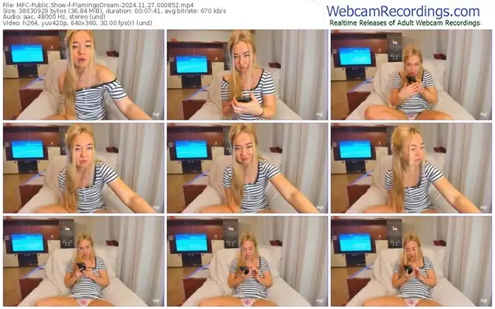 2024/11/27/mfc-flamingodream-00-08-52