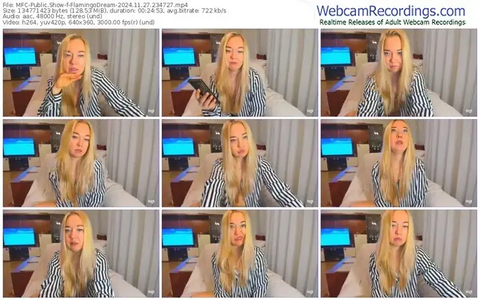 2024/11/27/mfc-flamingodream-23-47-27