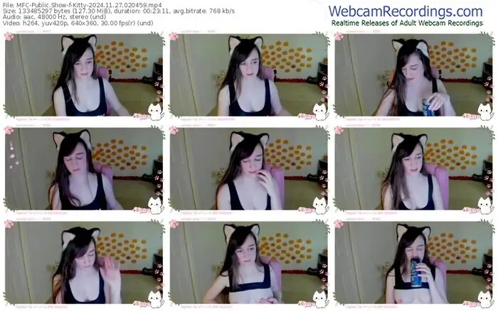 2024/11/27/mfc-kitty-02-04-59