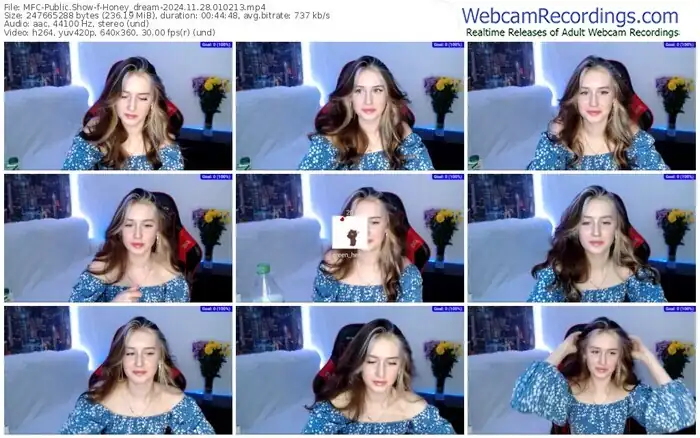 2024/11/28/mfc-honey_dream-01-02-13