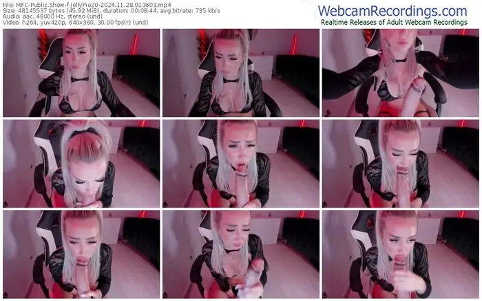 2024/11/28/mfc-jellypie20-01-36-03