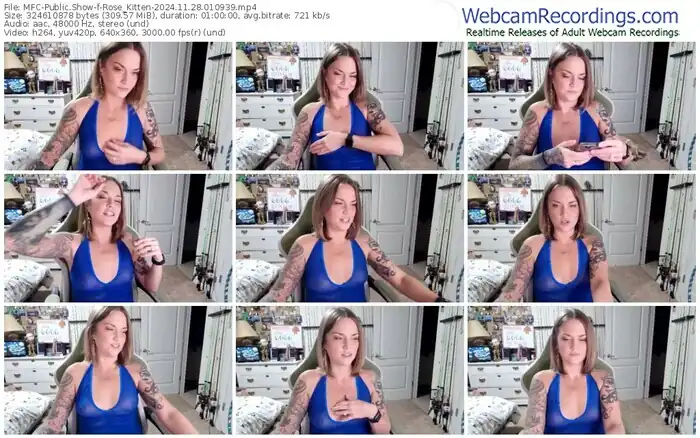 2024/11/28/mfc-rose_kitten-01-09-39