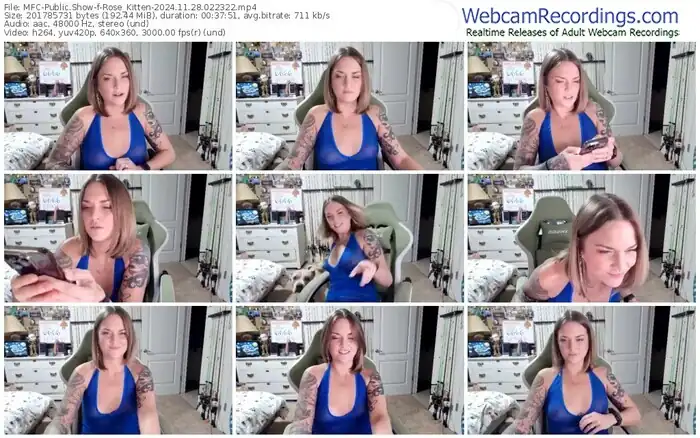 2024/11/28/mfc-rose_kitten-02-23-22