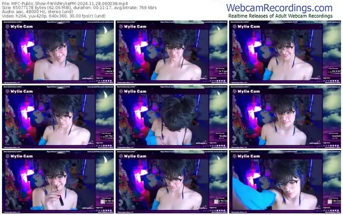 2024/11/28/mfc-wildwyliepm-06-00-38