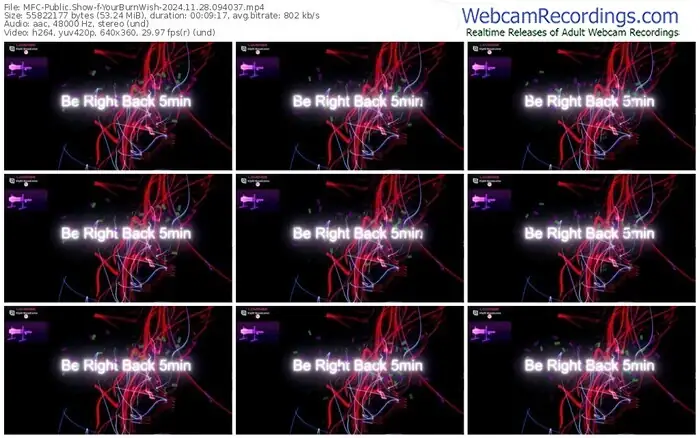 2024/11/28/mfc-yourburnwish-09-40-37