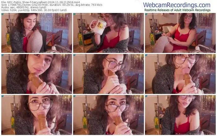 2024/11/28/mfc-hairysafaeri-21-29-04