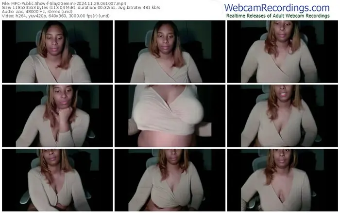 2024/11/29/mfc-slayzgemini-06-10-07