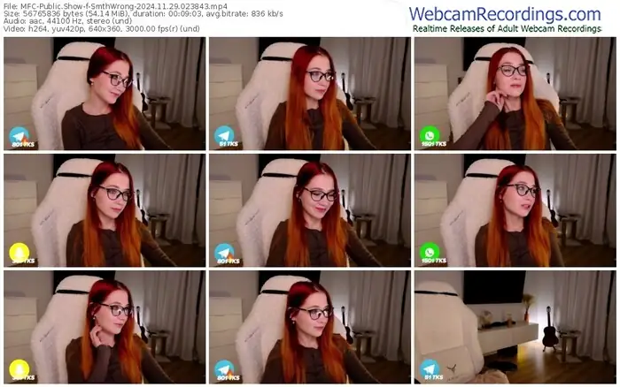 2024/11/29/mfc-smthwrong-02-38-43