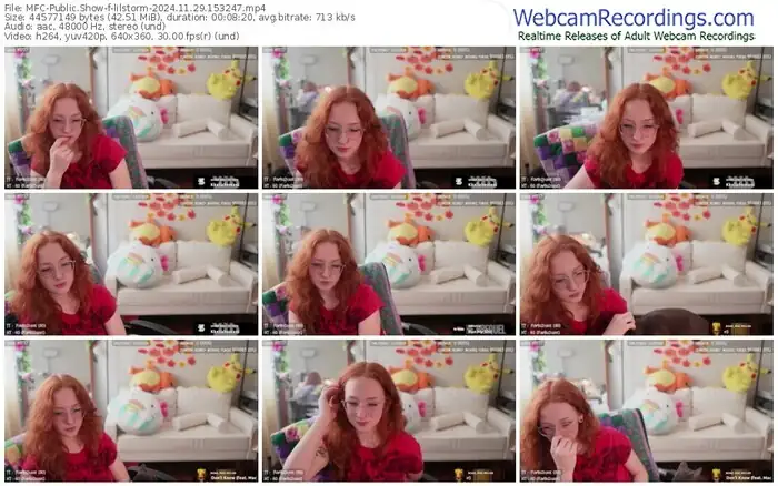 2024/11/29/mfc-lilstorm-15-32-47