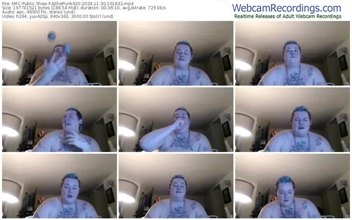 2024/11/30/mfc-ajthepunk420-10-18-32