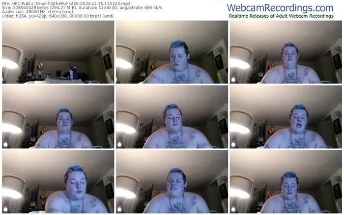 2024/11/30/mfc-ajthepunk420-11-02-22