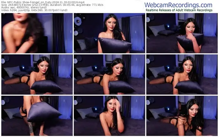 2024/11/30/mfc-angel_on_duty-01-03-16