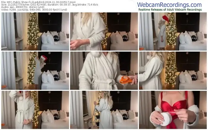 2024/11/30/mfc-lilladybird-00-05-17