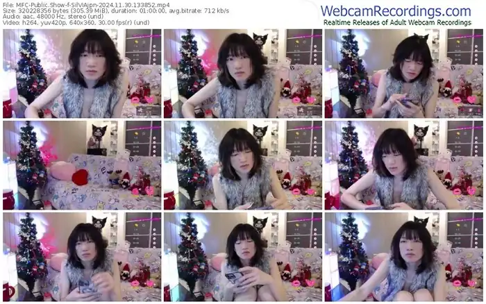 2024/11/30/mfc-silviajpn-13-38-52