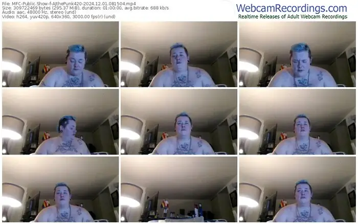 2024/12/01/mfc-ajthepunk420-08-15-04