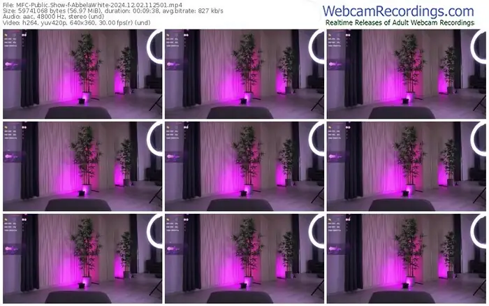 2024/12/02/mfc-abbelawhite-11-25-01