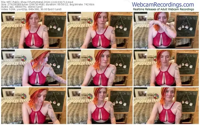 2024/12/02/mfc-purrtymetal-03-17-12