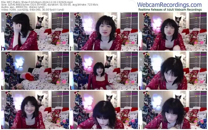 2024/12/02/mfc-silviajpn-13-26-29