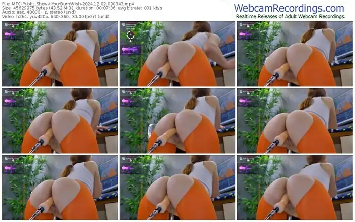 2024/12/02/mfc-yourburnwish-09-03-43