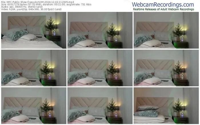 2024/12/02/mfc-sexyalisom-11-23-05