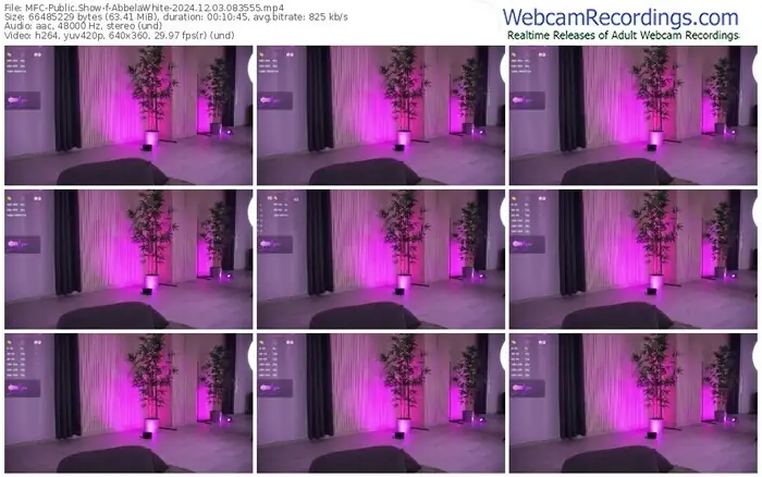 2024/12/03/mfc-abbelawhite-08-35-55