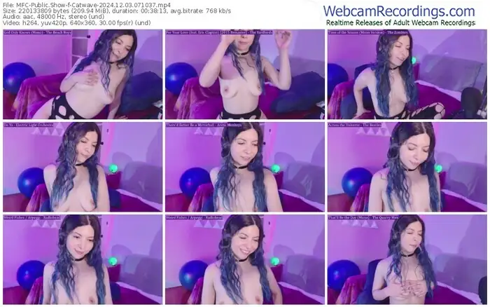 2024/12/03/mfc-catwave-07-10-37