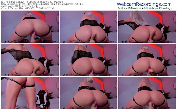 2024/12/03/mfc-jellypie20-20-40-42