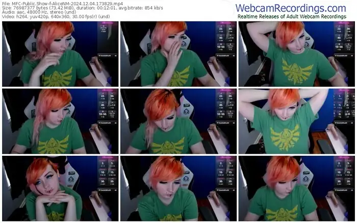 2024/12/04/mfc-alicenm-17-38-29